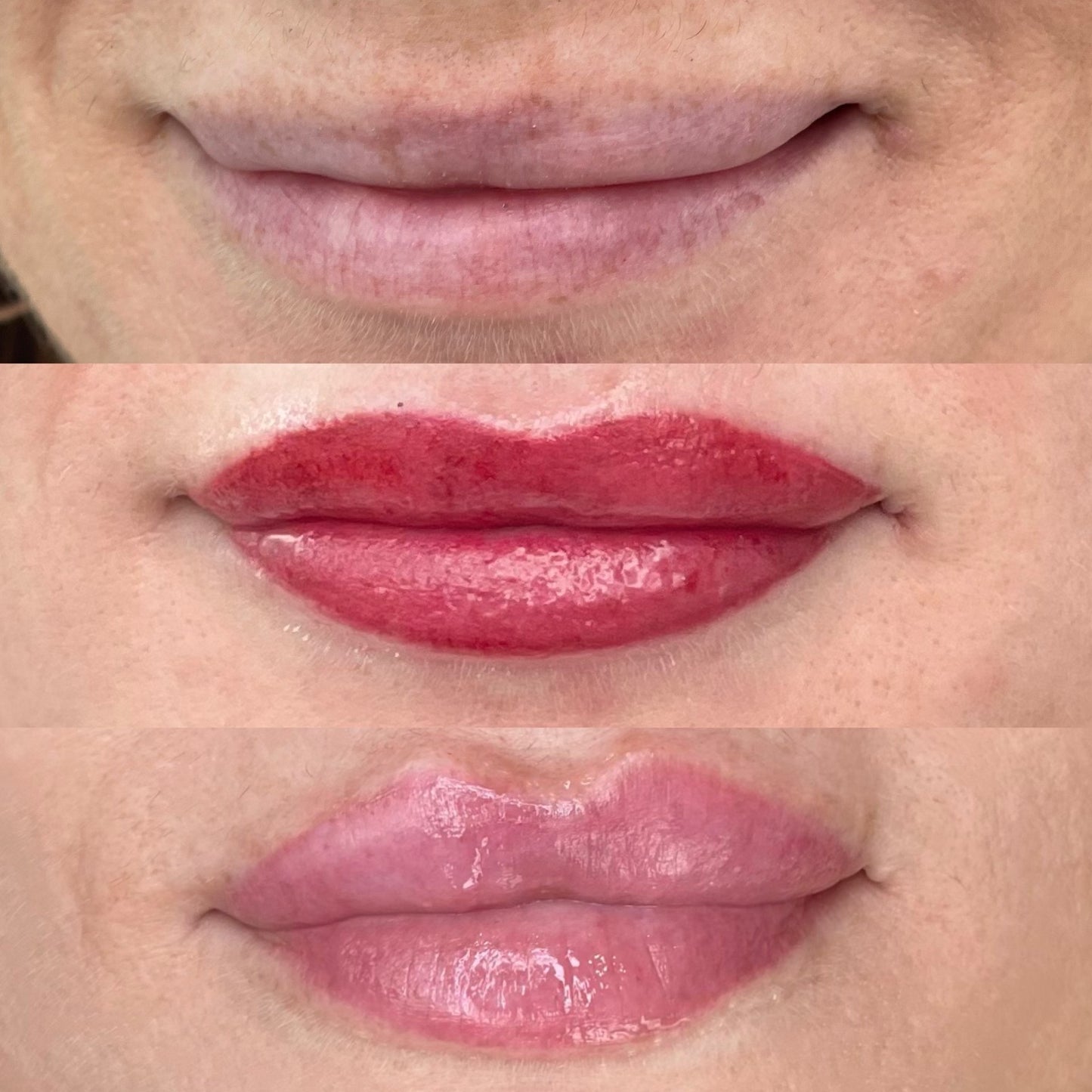 SPMU Advanced Masterclass Lipblush ALLURE Technique