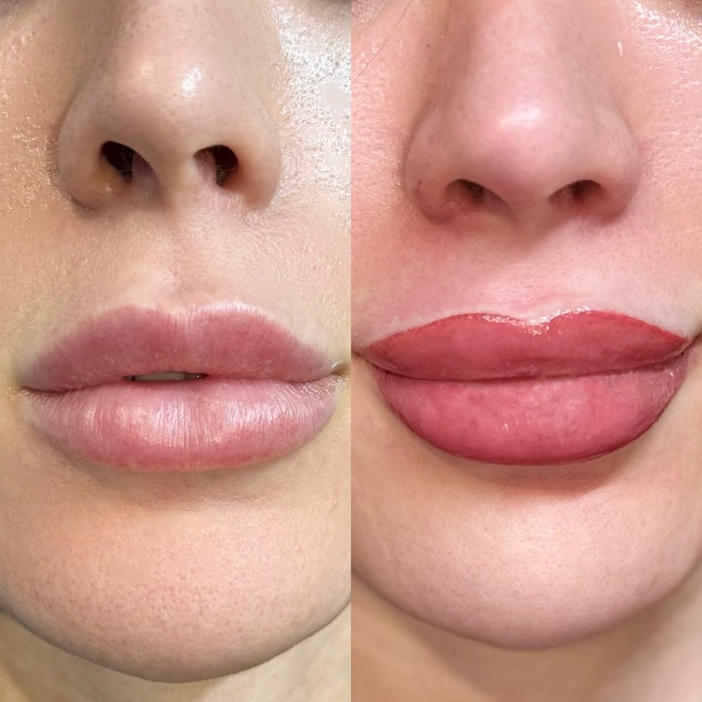 SPMU Advanced Masterclass Lipblush ALLURE Technique