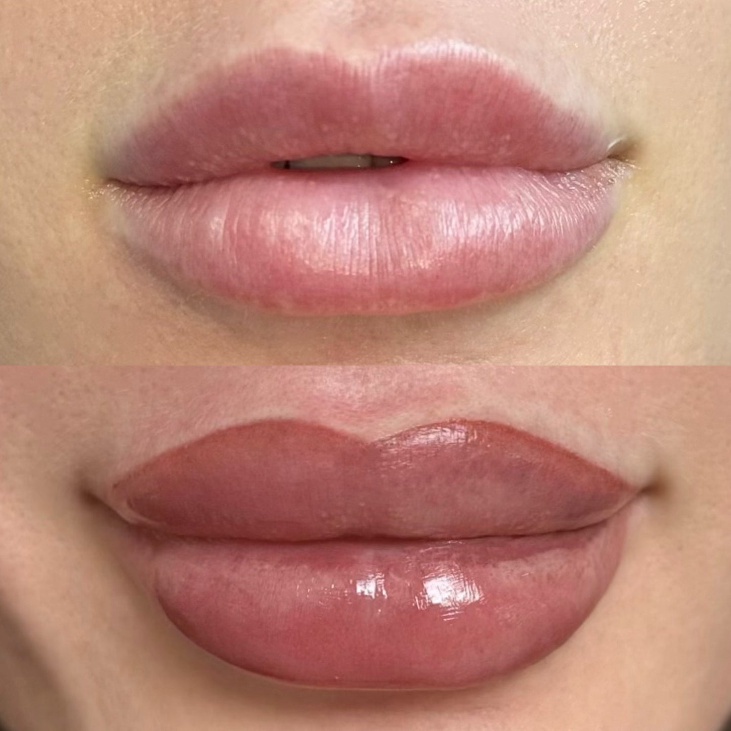 SPMU Advanced Masterclass Lipblush ALLURE Technique