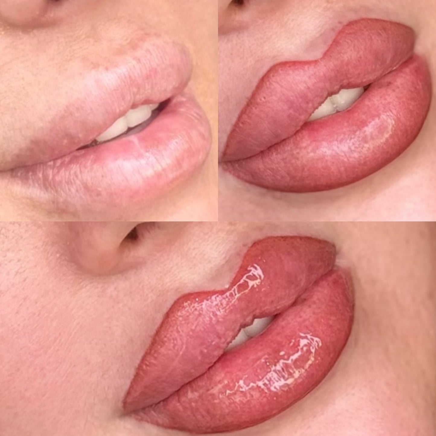 SPMU Advanced Masterclass Lipblush ALLURE Technique